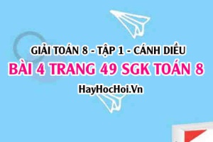 Giải bài 4 trang 49 Toán 8 Tập 1 SGK Cánh Diều